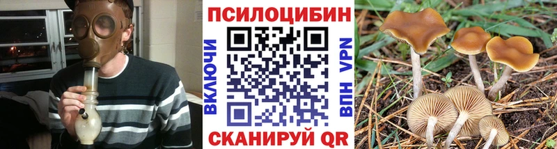 Псилоцибиновые грибы Cubensis  Купить где  Темников 